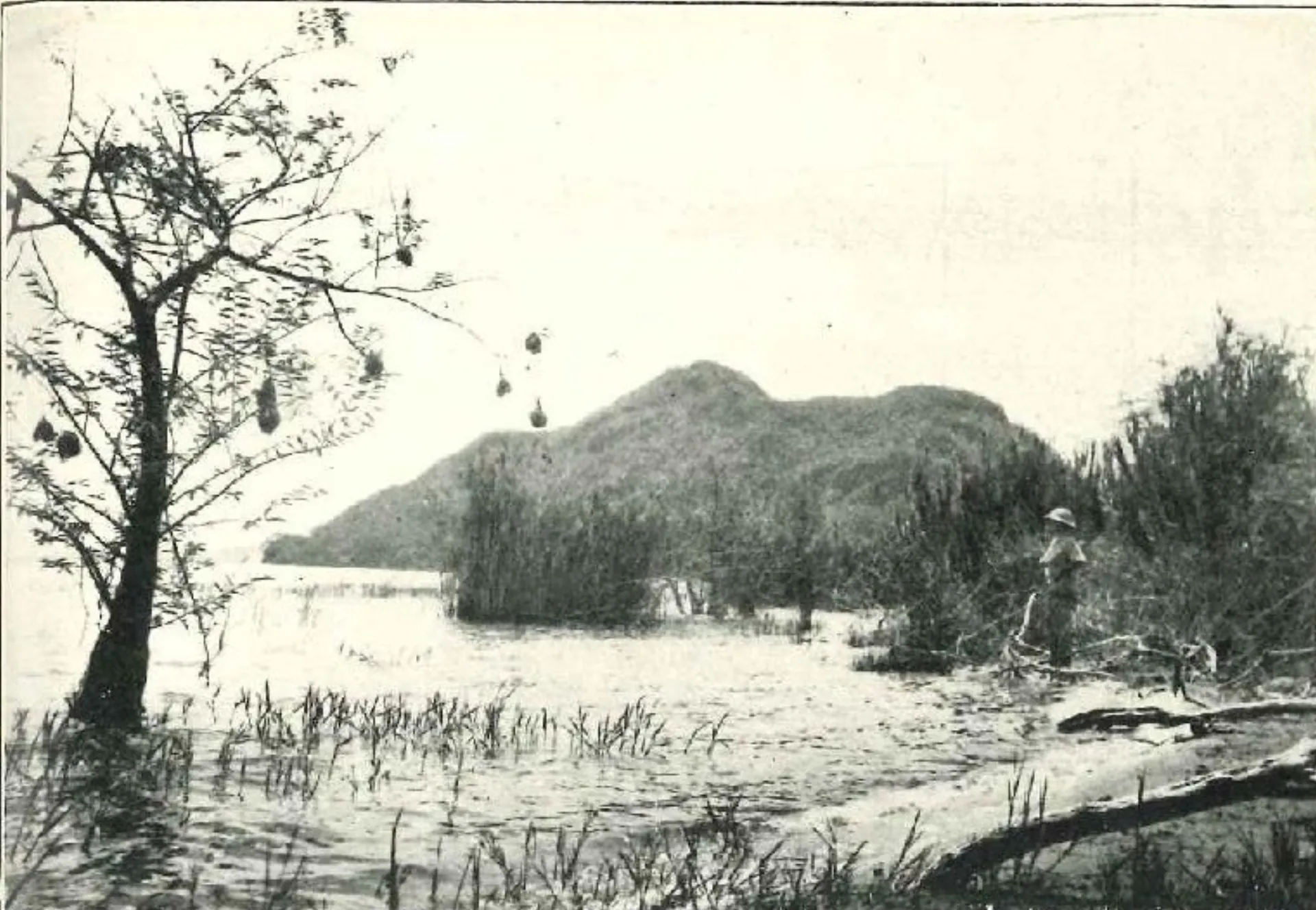 Graham recording field observations on shore, 1927