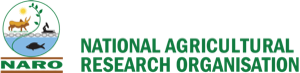 NARO